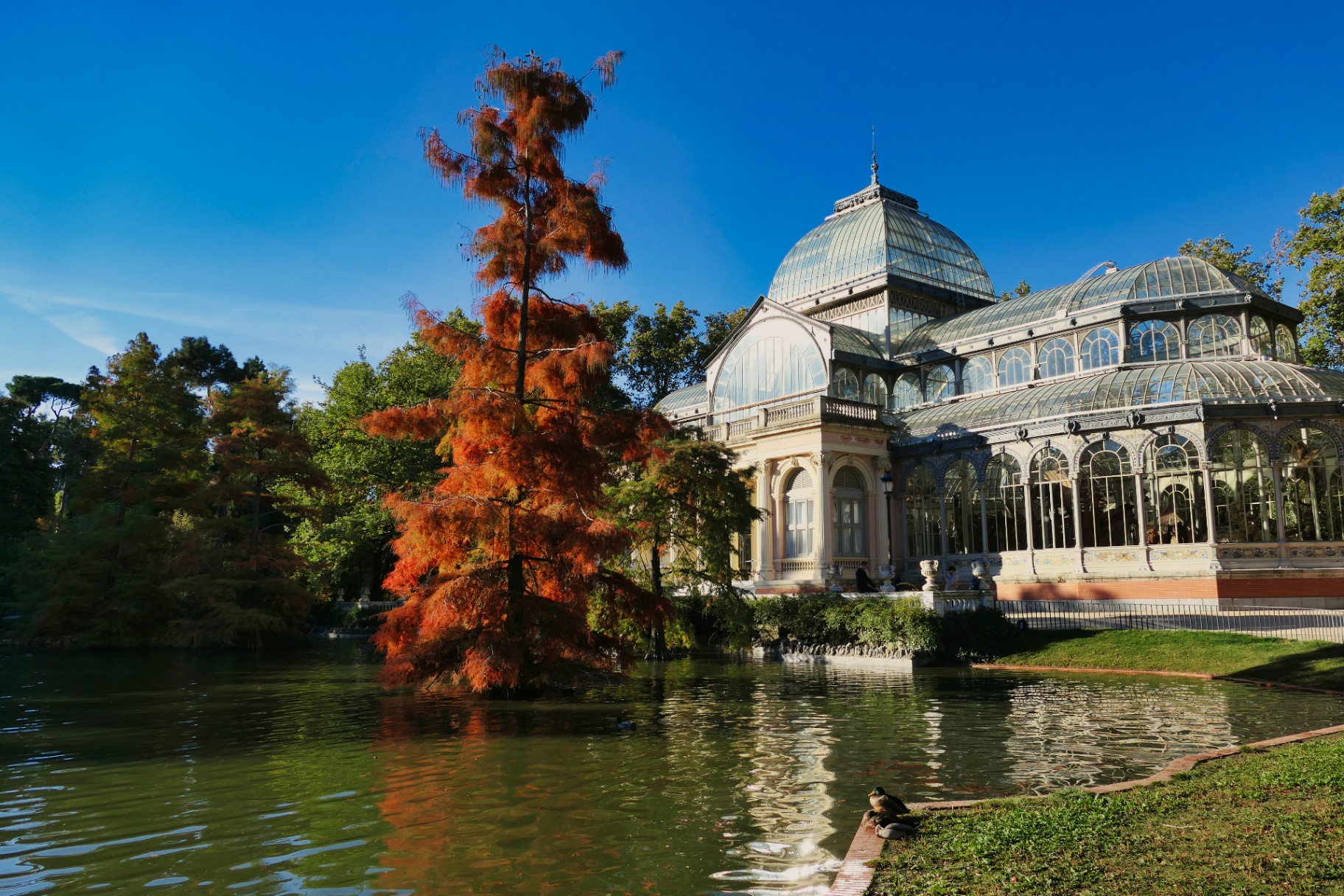 Palacio de Cristal en el Parque del Retiro, Madrid